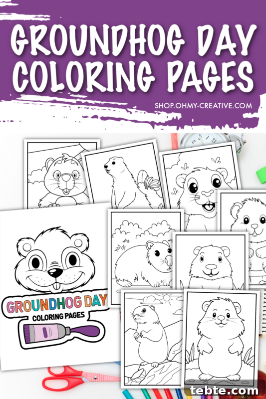 25 Groundhog Day Treats Kids Will Love 3 A collage of Groundhog Day coloring pages. Great for kids to color or crafts for Groundhog Day.