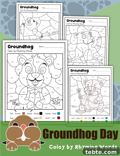 25 Groundhog Day Treats Kids Will Love 6 A collage of Groundhog Day coloring sheets using rhyming words.