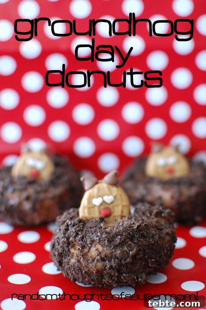 Groundhog day doughnut dessert decorated as groundhogs.