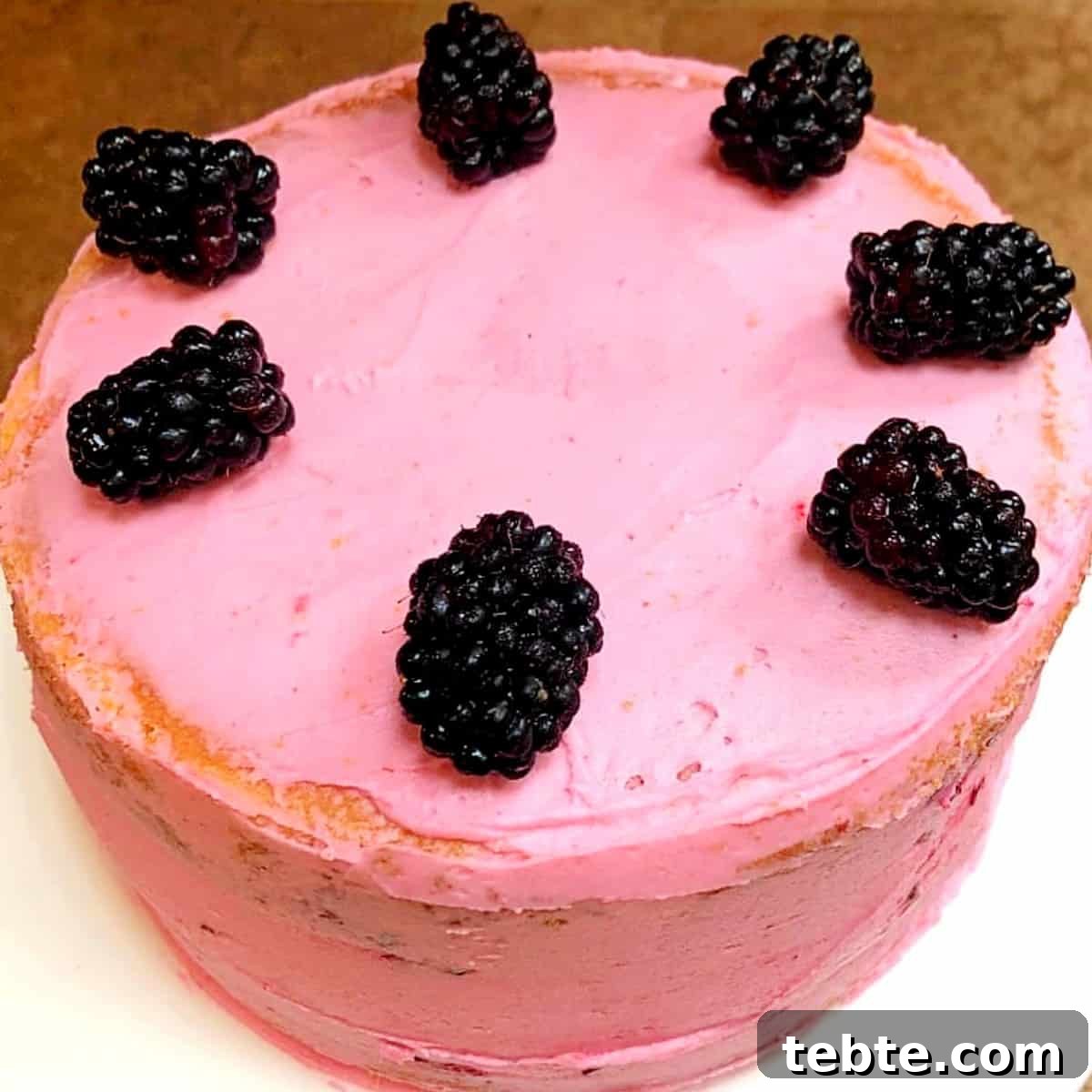 Rustic Naked Marionberry Layer Cake 2 marionberry cake with marionberry frosting and fresh berries on top.