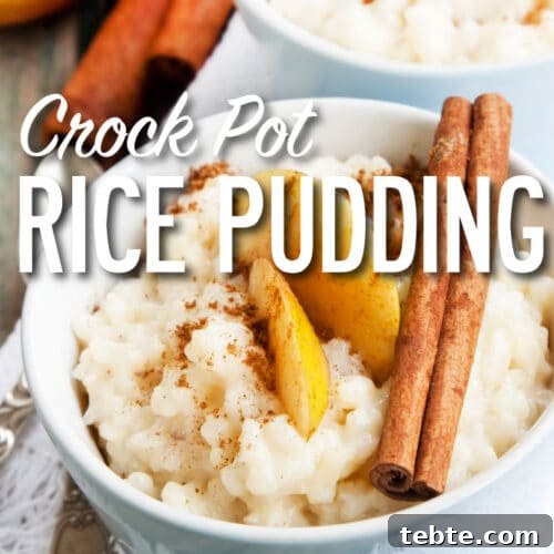 Bowl of crockpot rice pudding